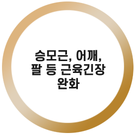 승모근, 어깨, 팔 등 근육긴장 완화

