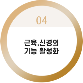 근육,신경의
기능 활성화



