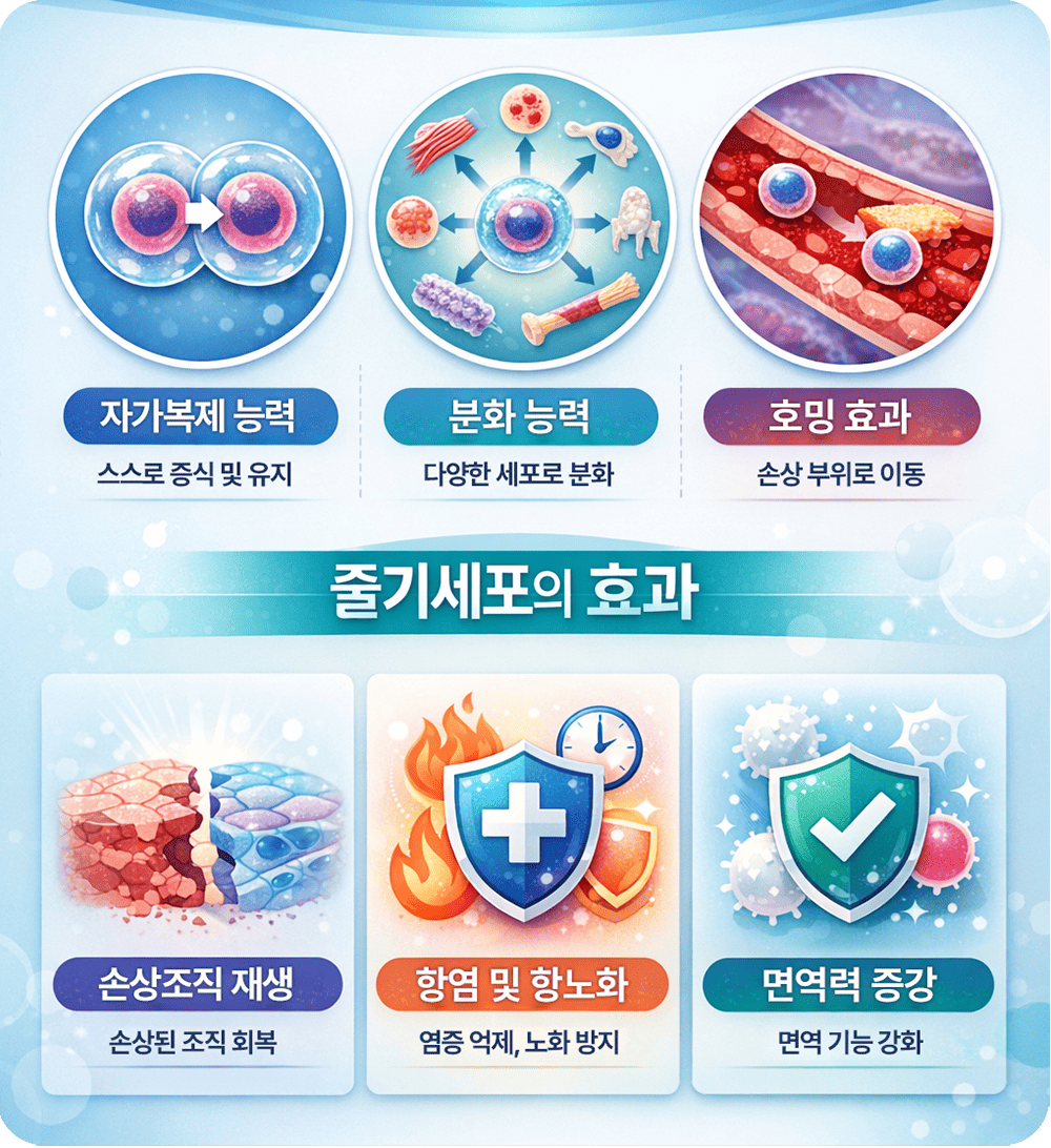 줄기세포 정맥주사의 원리 
