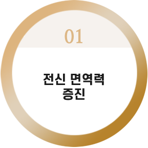 모근 강화 및
모발 탈락 감소

