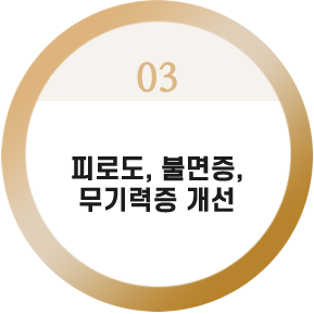 두피 혈관 재생 및 환경 개선

