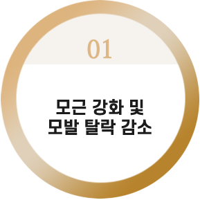 모근 강화 및
모발 탈락 감소

