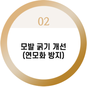 모발 굵기 개선
