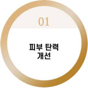 피부 탄력 개선


