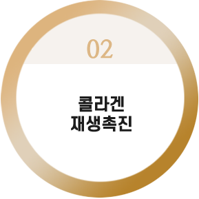 콜라겐 
재생촉진

