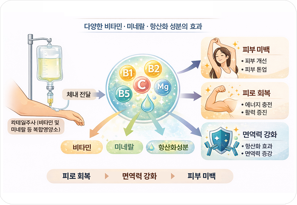 칵테일 주사의 원리
