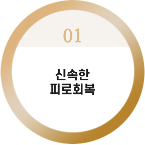 신속한
피로회복